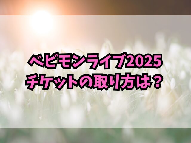 ベビモンライブ2025チケットの取り方は？一般発売はいつから？